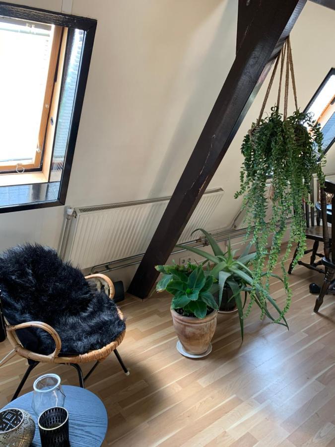 City Guesthouse Hardenberg Extérieur photo